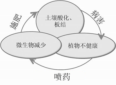 化肥不等于科學(xué)，請(qǐng)客觀評(píng)判！